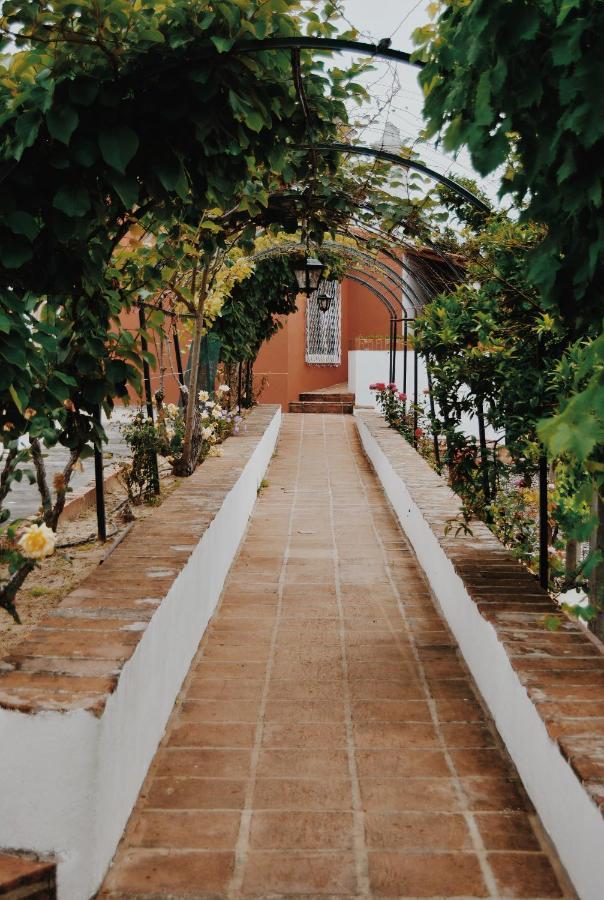 Вілла Quinta De Sao Pedro De Томар Екстер'єр фото