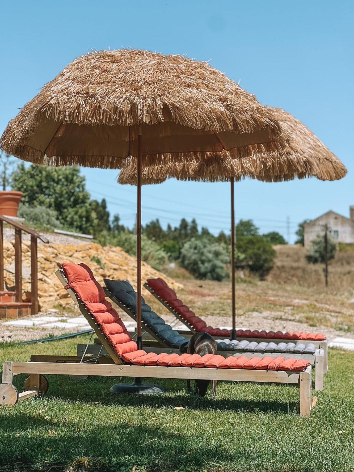 Вілла Quinta De Sao Pedro De Томар Екстер'єр фото
