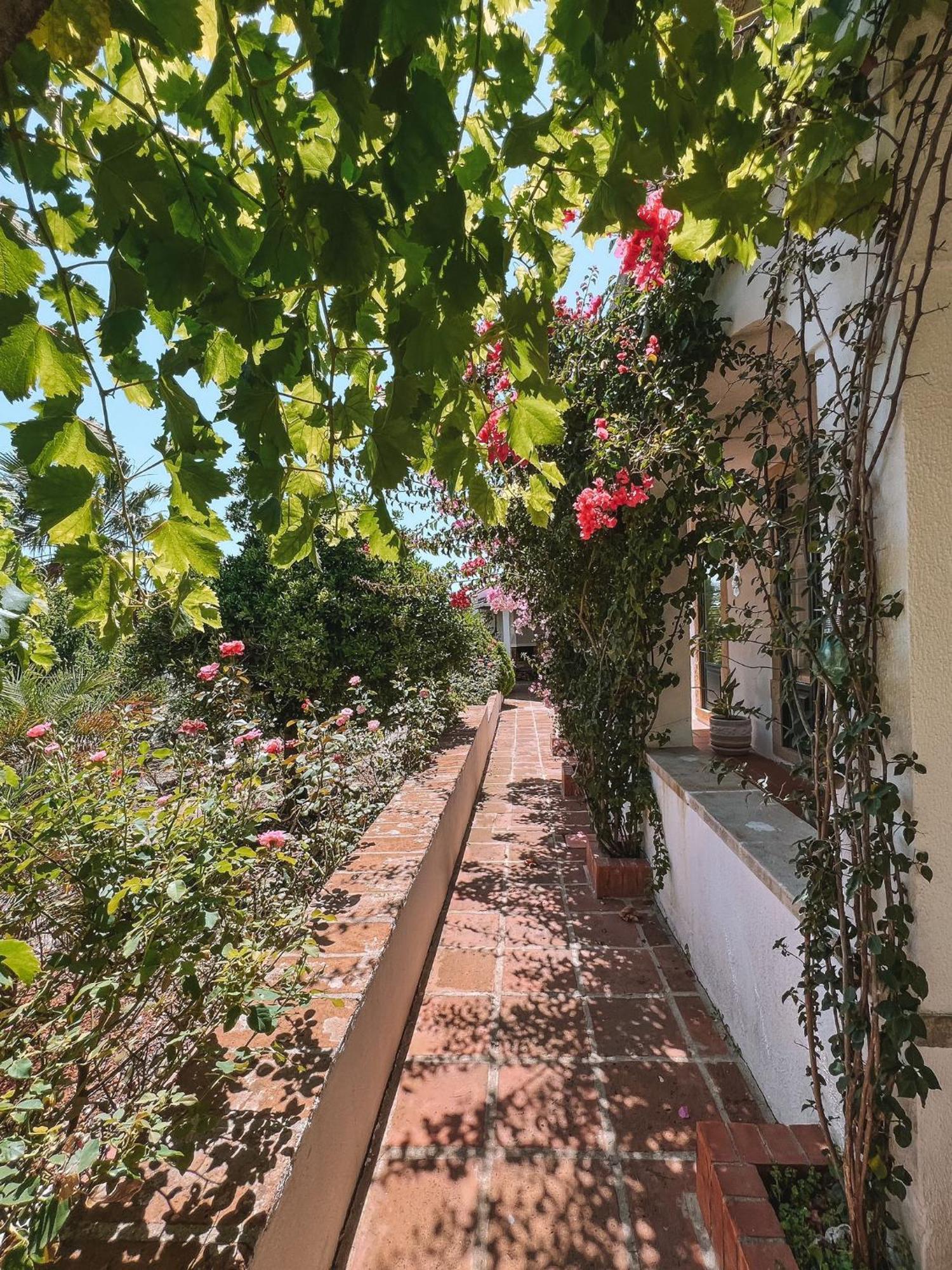 Вілла Quinta De Sao Pedro De Томар Екстер'єр фото
